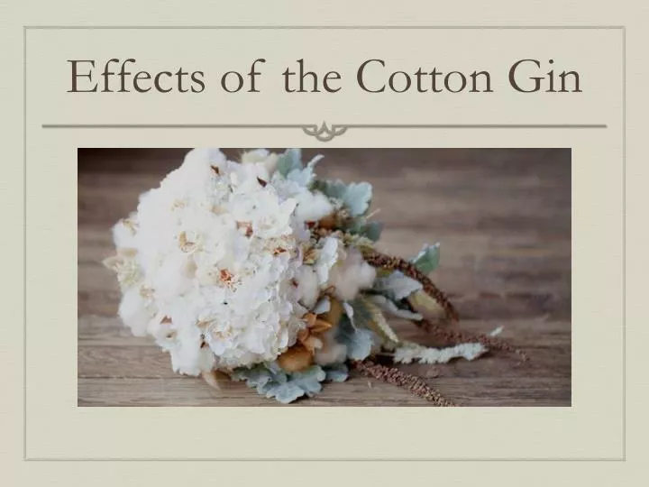 effects of the cotton gin