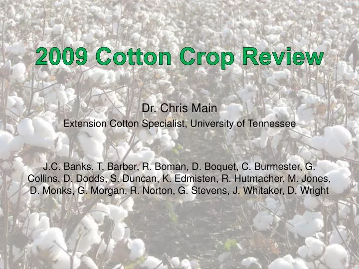 2009 cotton crop review