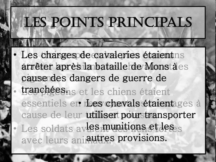 les points principals