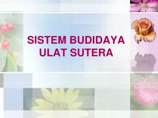 sistem budidaya ulat sutera