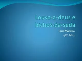 louva a deus e bichos da seda