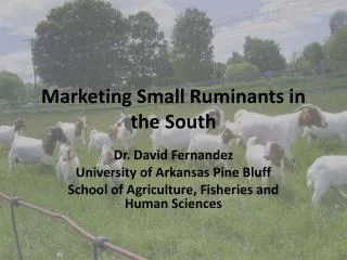 Marketing Small Ruminants in the South