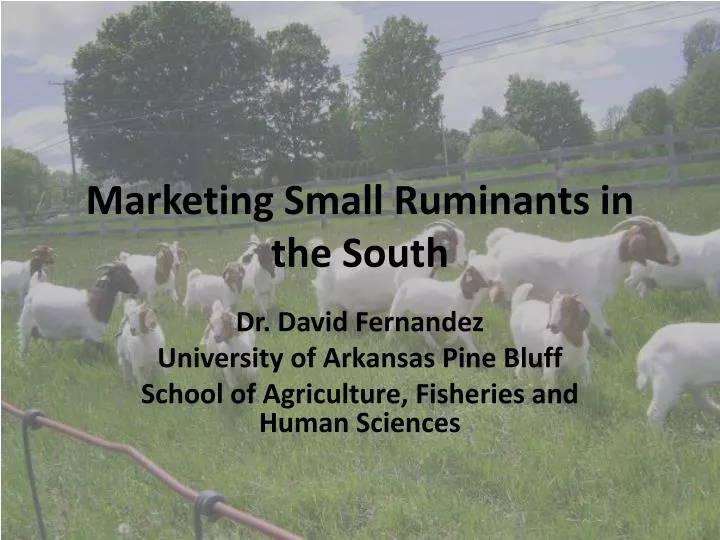 marketing small ruminants in the south