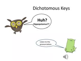 Dichotomous Keys