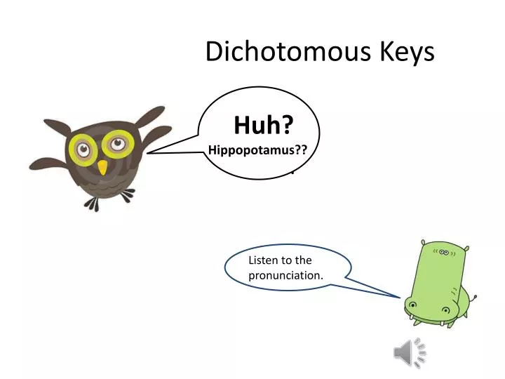 dichotomous keys