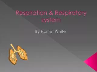 Respiration &amp; Respiratory system