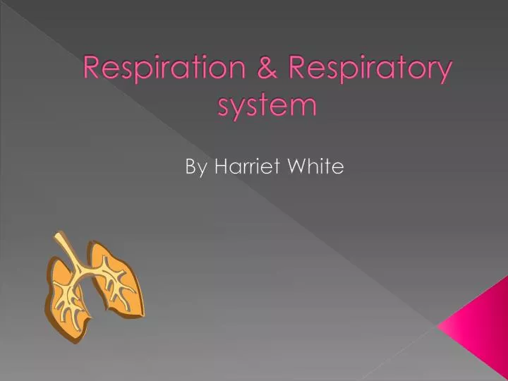 respiration respiratory system