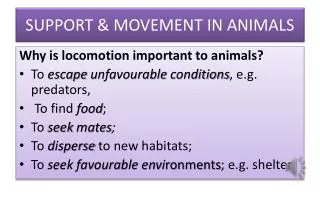 SUPPORT &amp; MOVEMENT IN ANIMALS