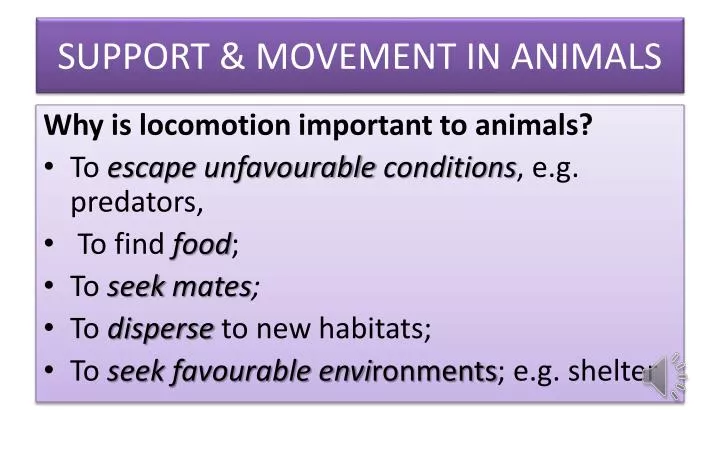 support movement in animals