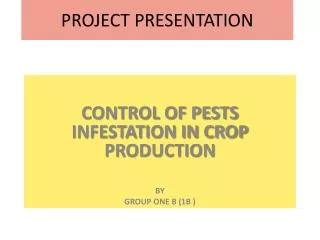 PROJECT PRESENTATION