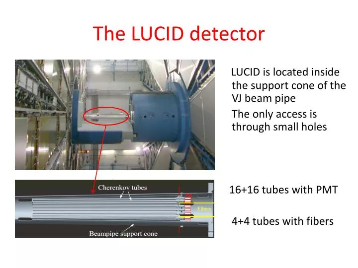 the lucid detector