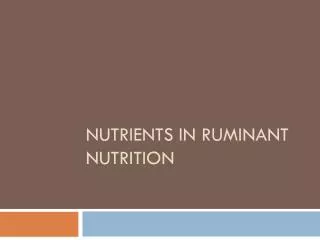 Nutrients in ruminant nutrition