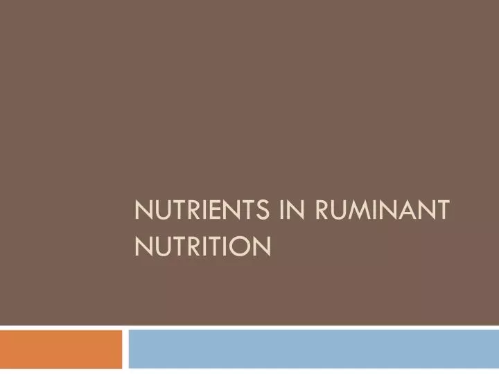 nutrients in ruminant nutrition