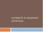 Nutrients in ruminant nutrition - slide 1