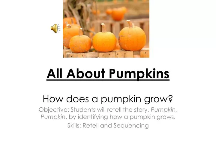 all about pumpkins