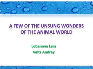 A few of the unsung wonders of the animal world