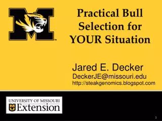 Practical Bull Selection for YOUR Situation