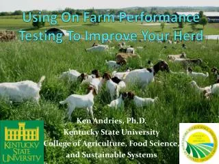 Using On Farm Performance Testing To Improve Your Herd
