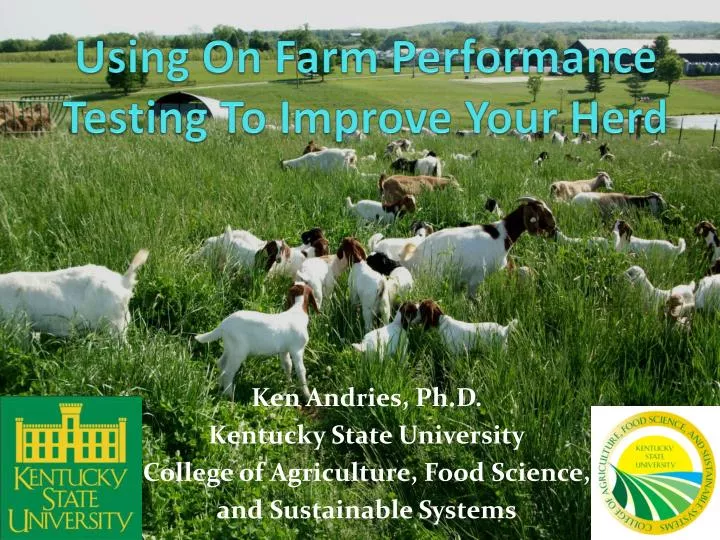 using on farm performance testing to improve your herd