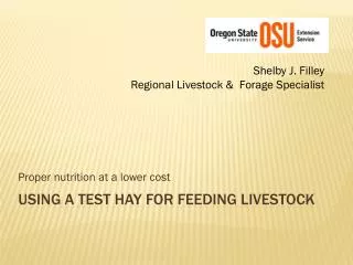 Using a test Hay for Feeding Livestock