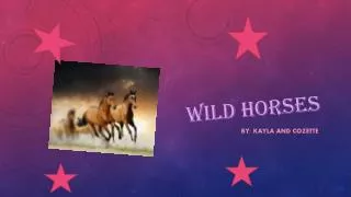 Wild horses