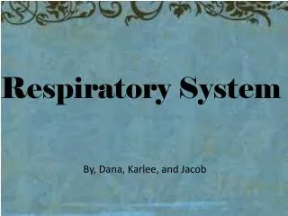 respiratory system