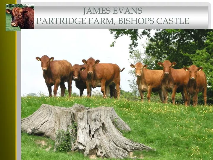 james evans partridge farm bishops castle
