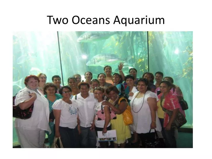two oceans aquarium