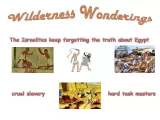 Wilderness Wonderings