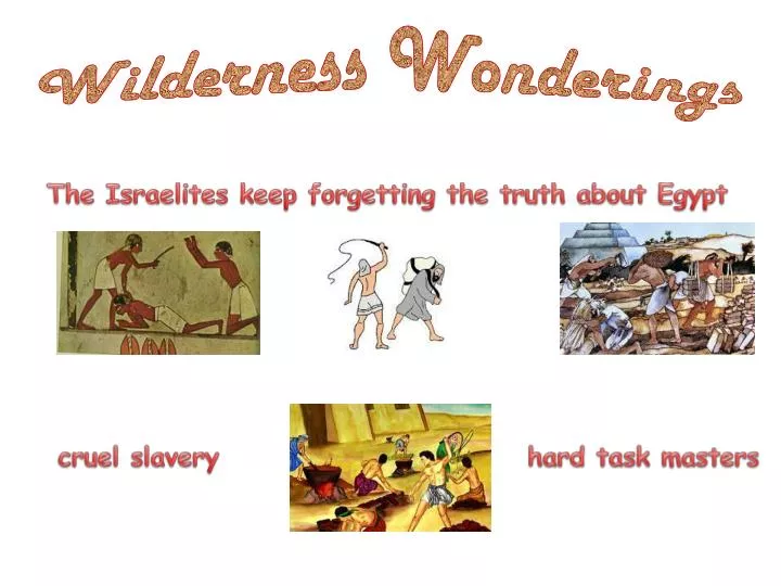 wilderness wonderings