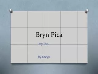 Bryn Pica