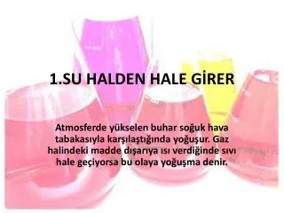 1 su halden hale g rer