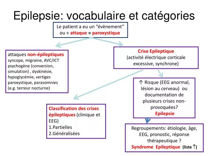 epilepsie vocabulaire et cat gories