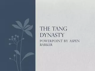 The tang dynasty