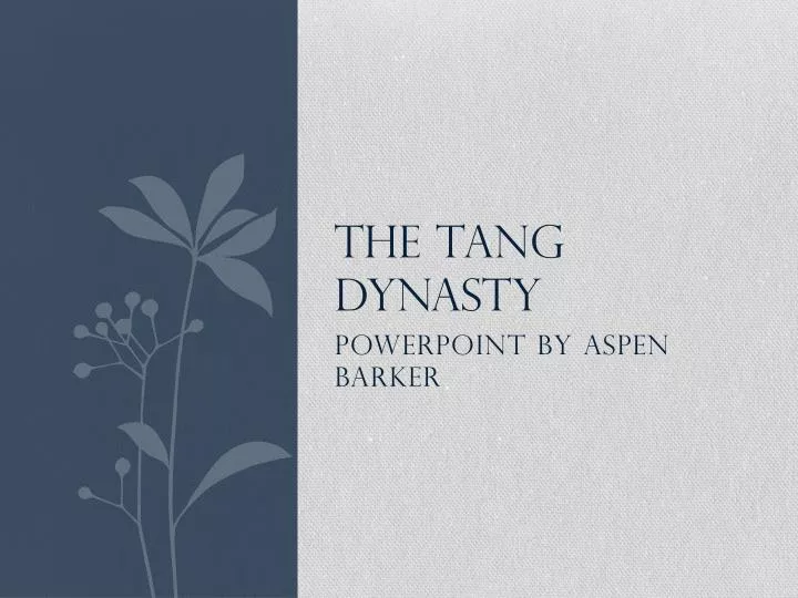 the tang dynasty