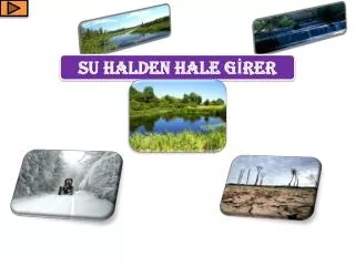 su halden hale g rer