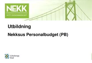 Nekksus Personalbudget (PB)