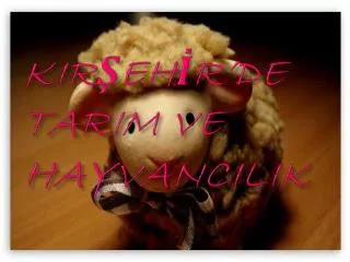 kir eh r de tarim ve hayvancilik