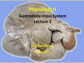 Gastroinstestinal System Lecture 2