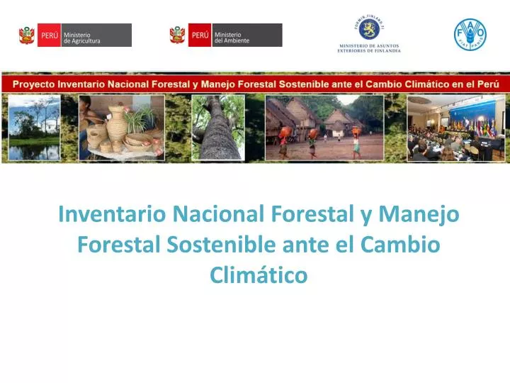 inventario nacional forestal y manejo forestal sostenible ante el cambio clim tico