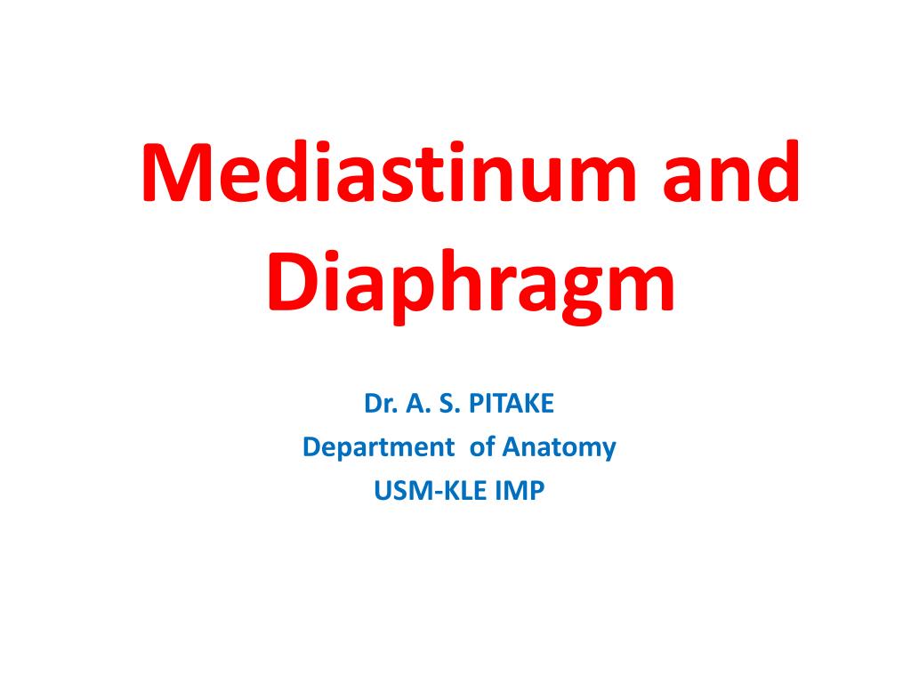 PPT - Mediastinum and Diaphragm PowerPoint Presentation, free download ...