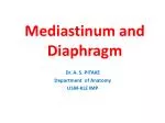 Mediastinum and Diaphragm
