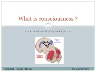 what is consciousness