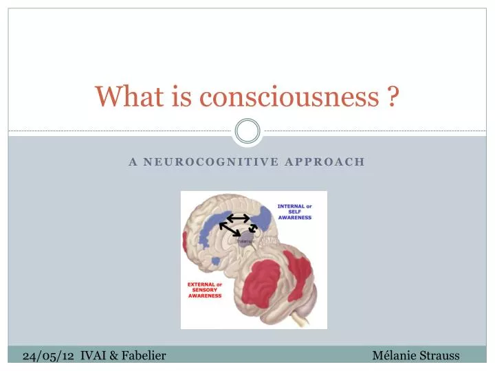 what is consciousness