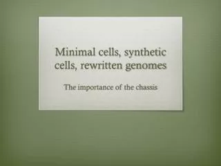 Minimal cells, synthetic cells, rewritten genomes