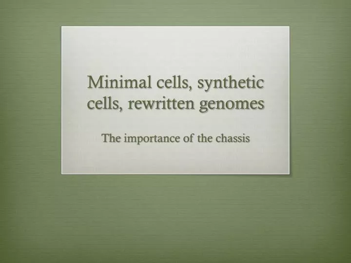 minimal cells synthetic cells rewritten genomes