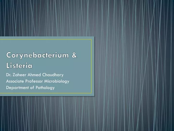 corynebacterium listeria