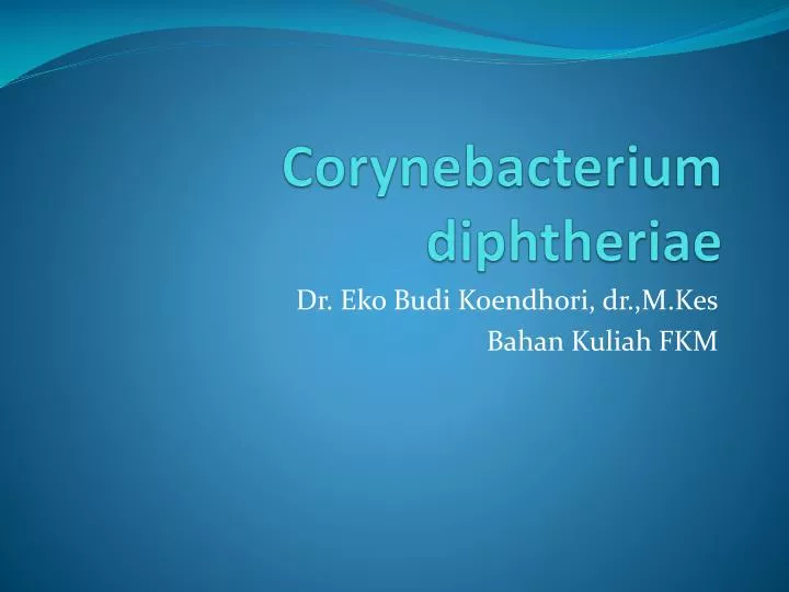 corynebacterium diphtheriae