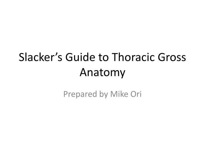 slacker s guide to thoracic g ross anatomy