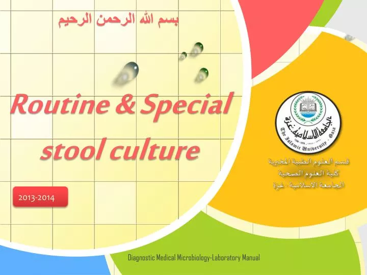 routine special stool culture